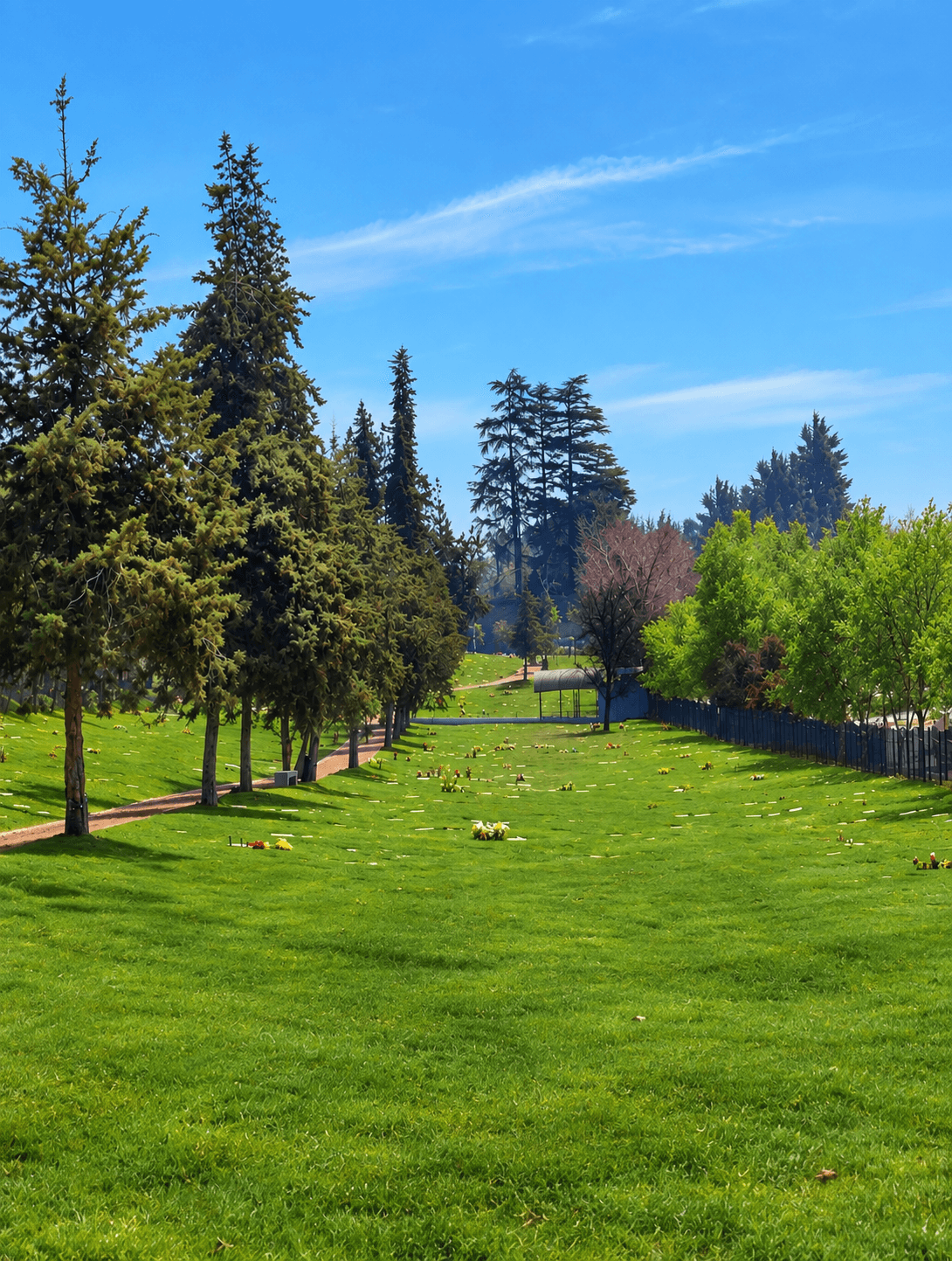 Alameda arbolada de un parque, con césped y luz de día